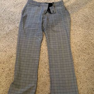 Express Dress Pants